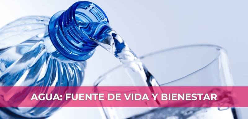 Agua y Bienestar: La Hidratación en Cada Estación del Año