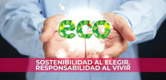 Productos Sostenibles: Con Conciencia ambiental