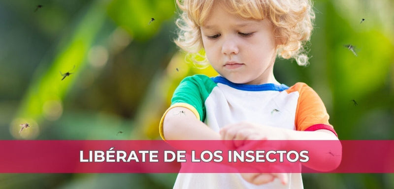 Repelentes e Insecticidas: La Defensa Perfecta