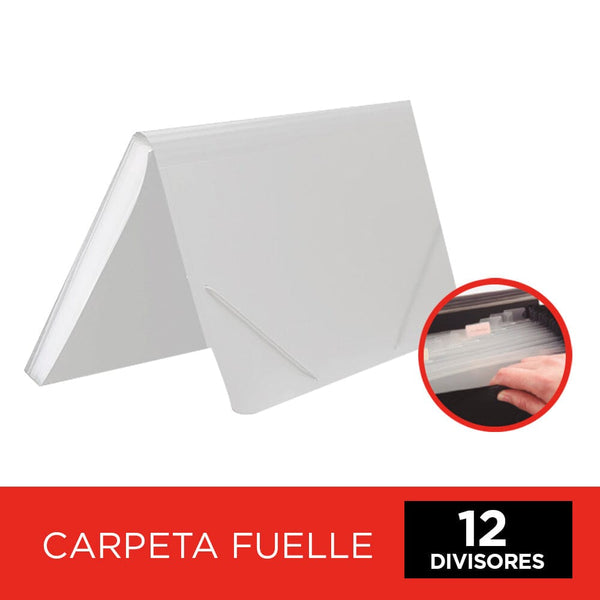 Carpeta Fuelle 12 Divisiones Rayado Transparente OFICINA Y LIBRERIA RHEIN 