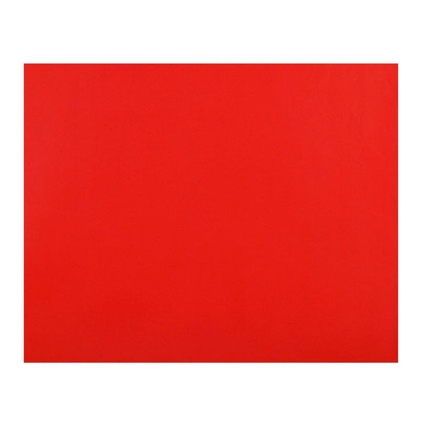 Cartulina Roja 55X75 Cm OFICINA Y LIBRERIA TORRE 