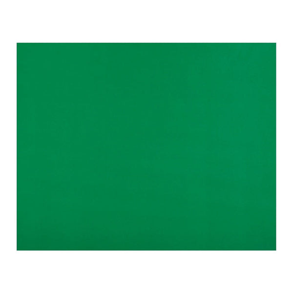 Cartulina Verde Oscuro 55X75 Cm OFICINA Y LIBRERIA TORRE 