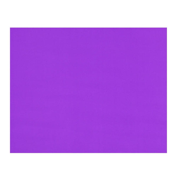 Cartulina Violeta 55X75 Cm OFICINA Y LIBRERIA TORRE 
