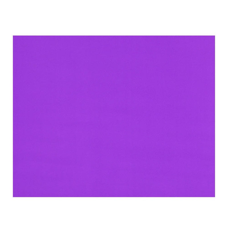 Cartulina Violeta 55X75 Cm OFICINA Y LIBRERIA TORRE 